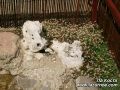������� ��������� �� �����  ���� ������